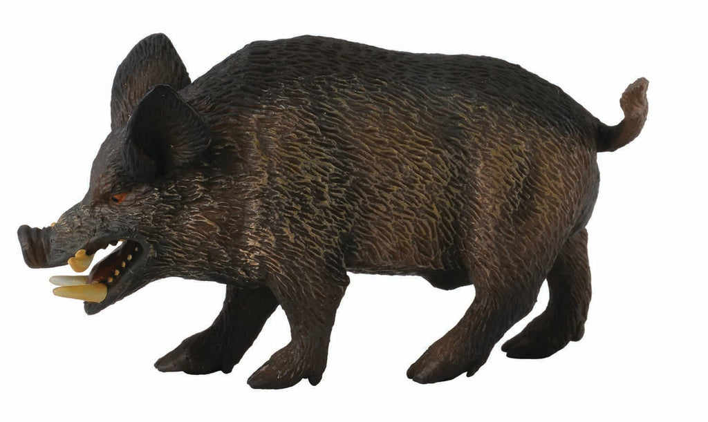 CollectA - Wesley the Wild Boar