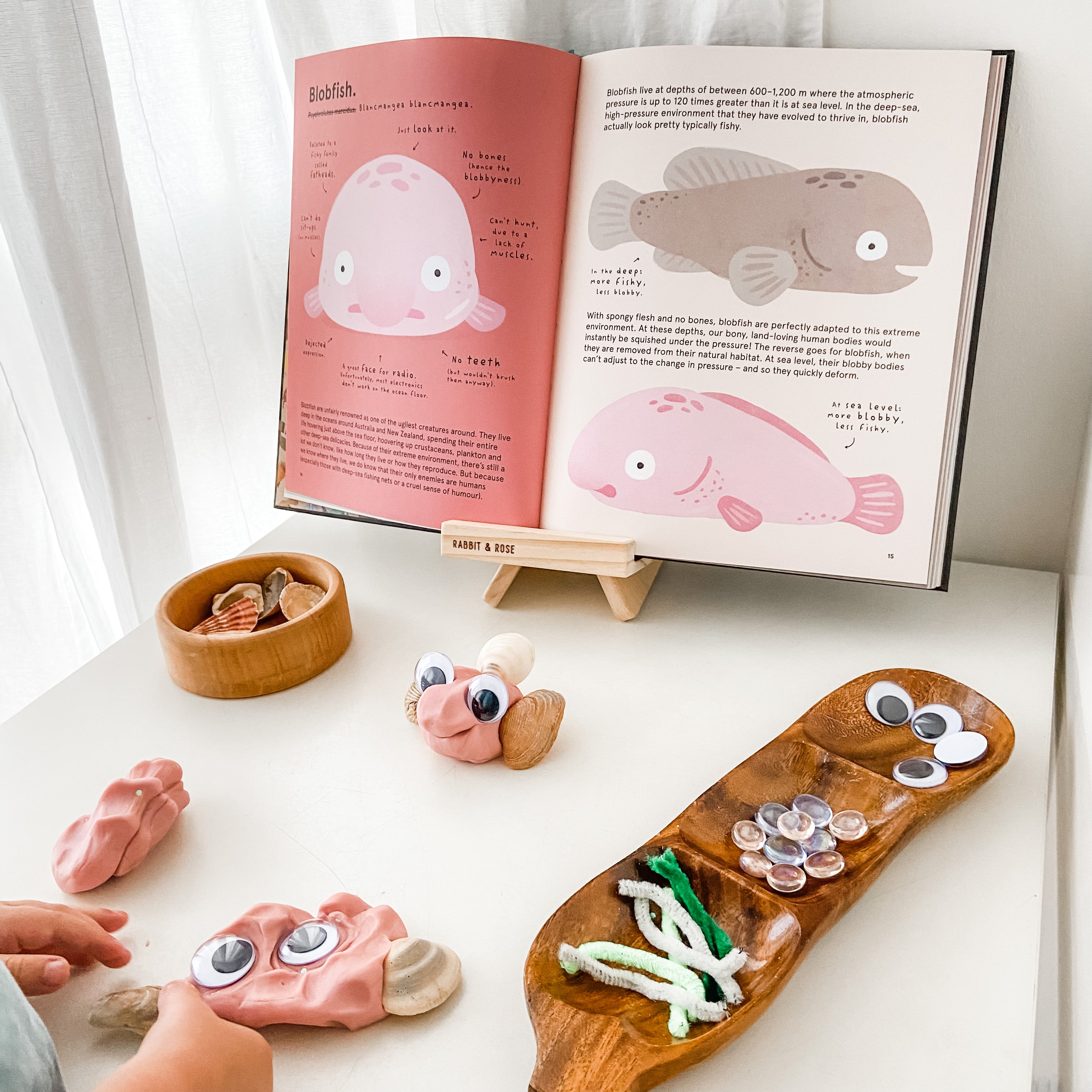 3-5 years book with activity  of blobfish craft displayed