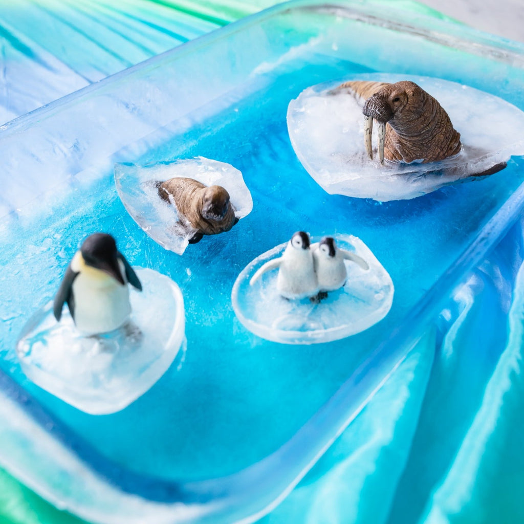 CollectA Animal Subscription Box – The Creative Toy Shop