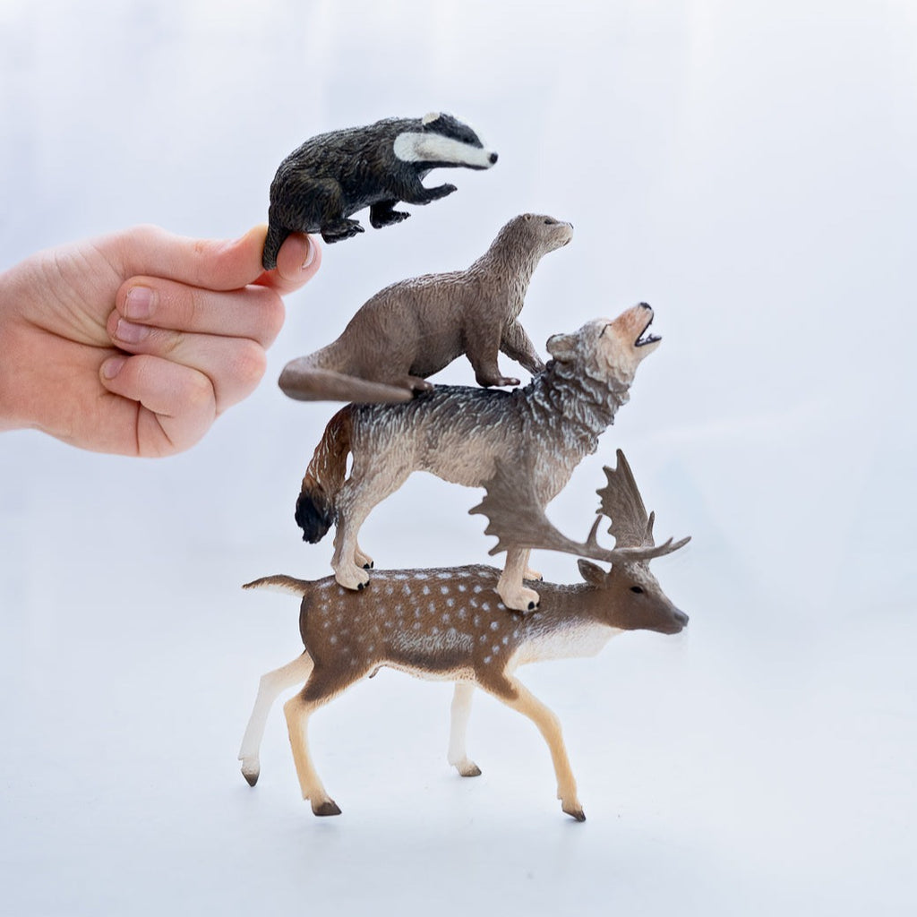 CollectA Animal Subscription Box – The Creative Toy Shop