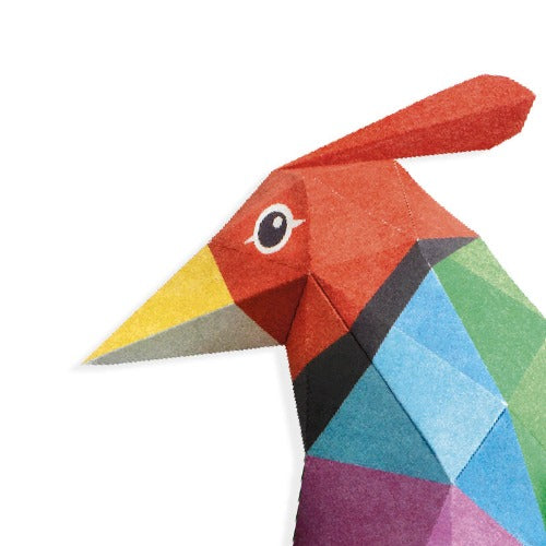 Djeco - Amazonie Bird 3D Poster