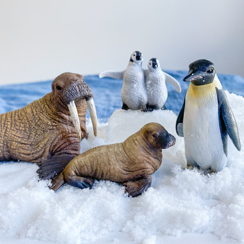 Nature's flurry snow with CollectA arctic animals 