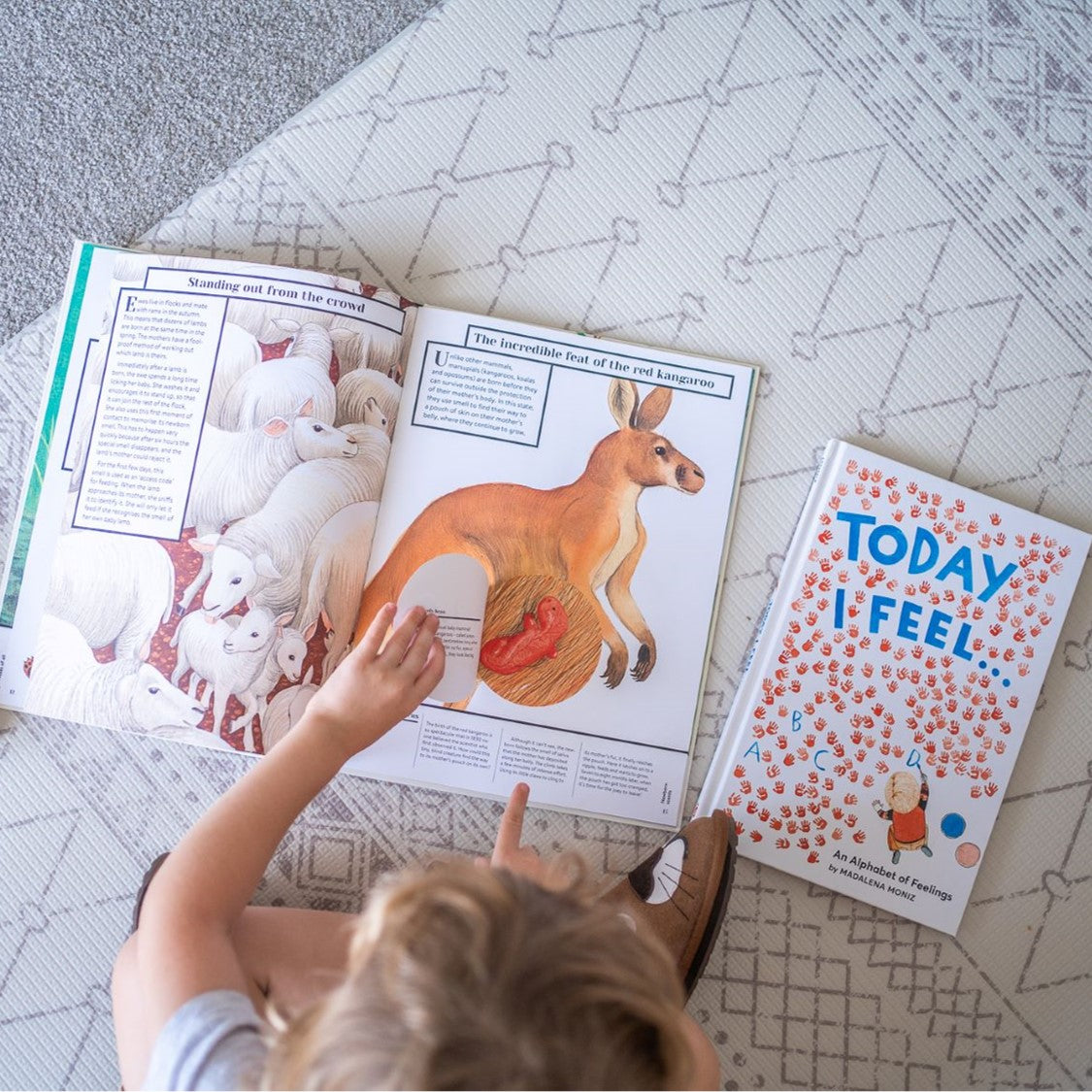 Little Readers Book Subscription - Family Box