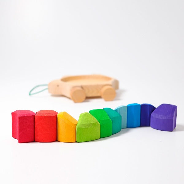 Grimm's - Wooden Rainbow Pull Along Turtle