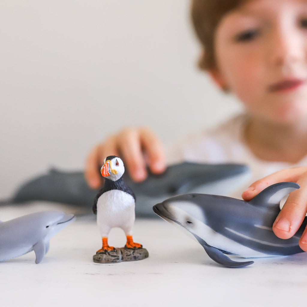 Ocean themed collectA subscription box with child playing with dolphins and puffin