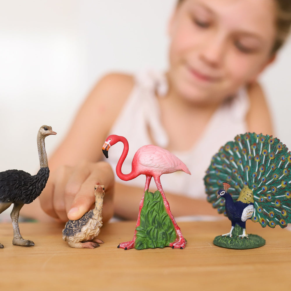 Girl playing with CollectA birds