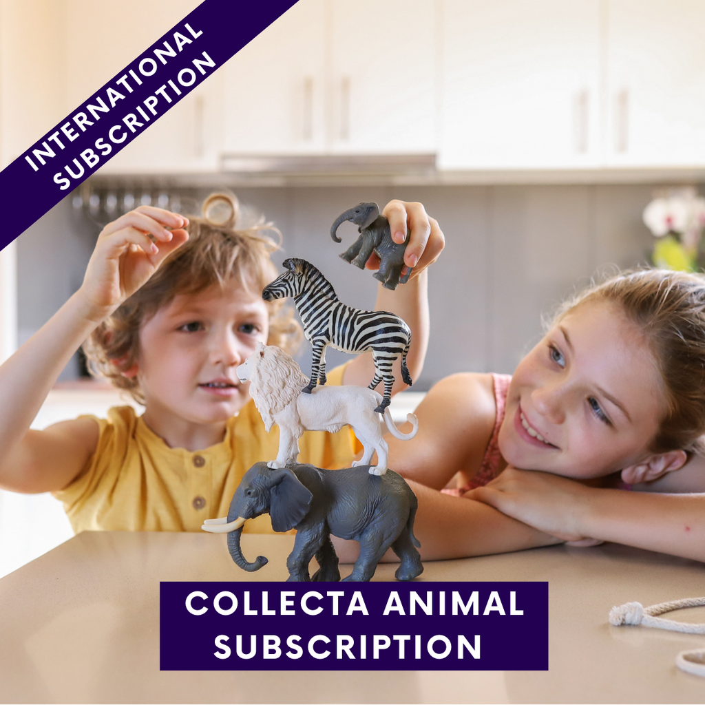 CollectA Animal Subscription Box (International Shipping)