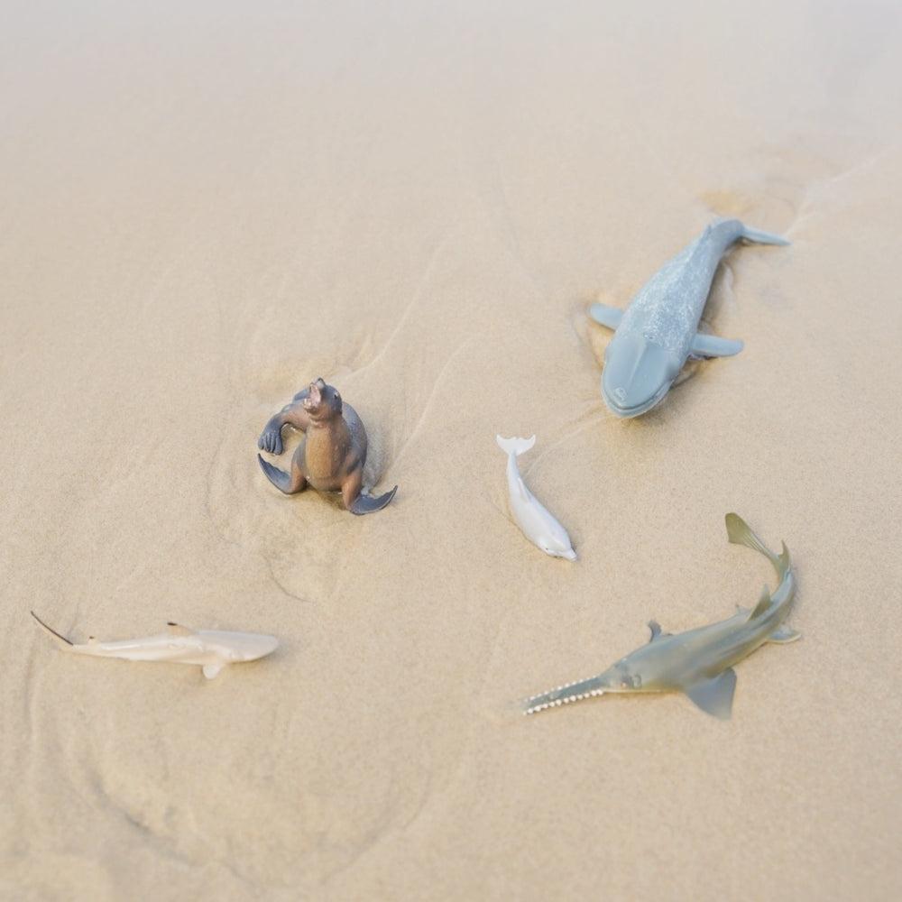 Ocean themed collecta animals at beach