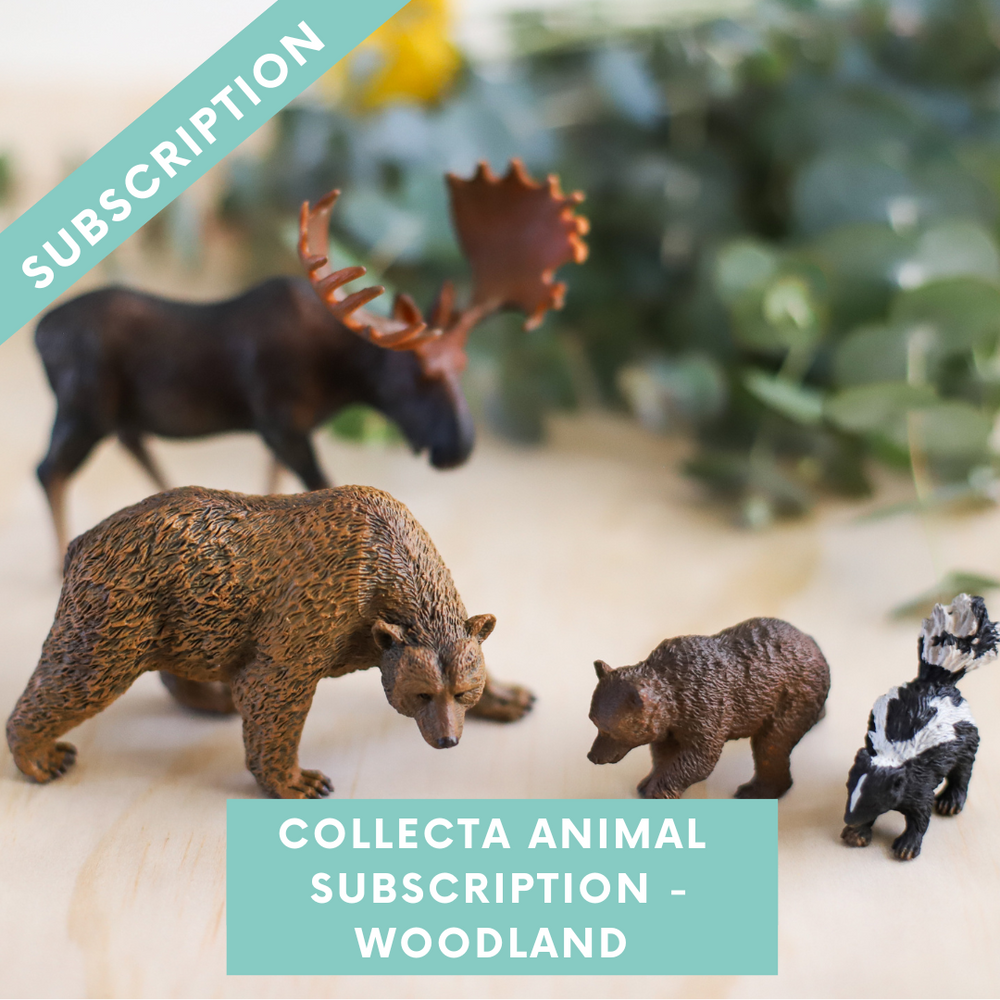 CollectA Animal Subscription Box -  Woodland