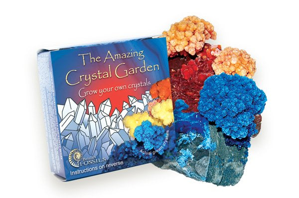 Science and Nature - Amazing Crystal Garden