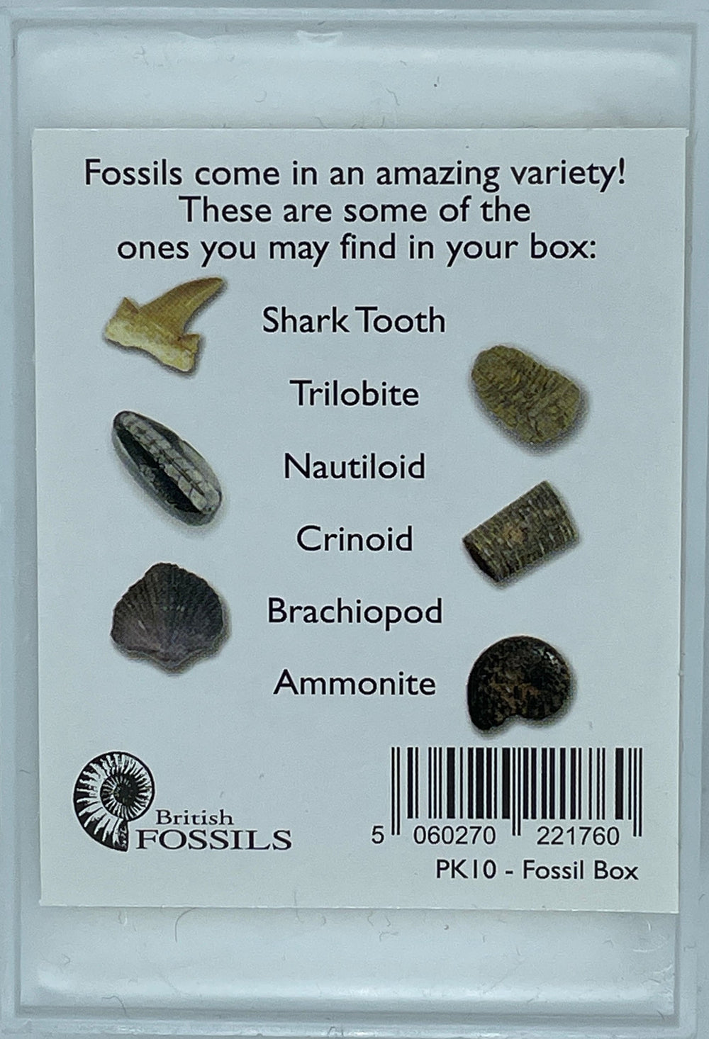 Identification chart for fossil box 