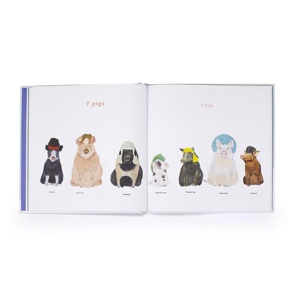 Book - 1 to 20 Animals Aplenty-Harper-The Creative Toy Shop