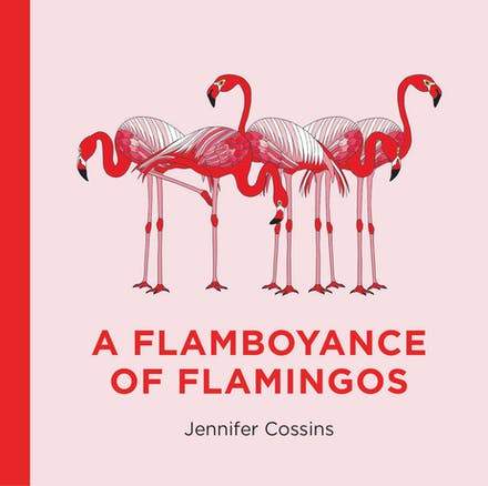 Book - A Flamboyance Of Flamingos by Jennifer Cossins - Harper - The Creative Toy Shop