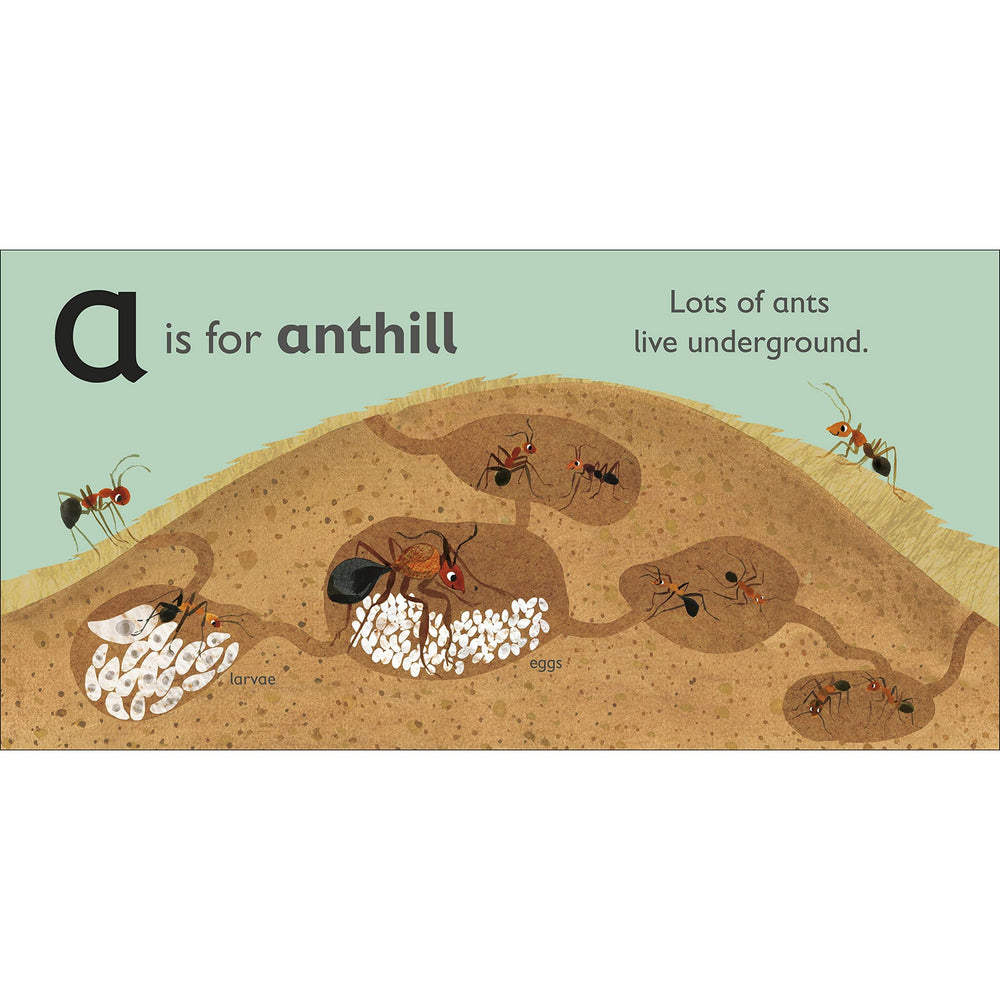 Book - A Is For Ant-Harper-The Creative Toy Shop