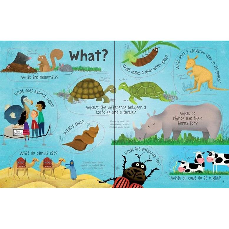 Book - Lift-the-flap Questions and Answers about Animals - Harper - The Creative Toy Shop