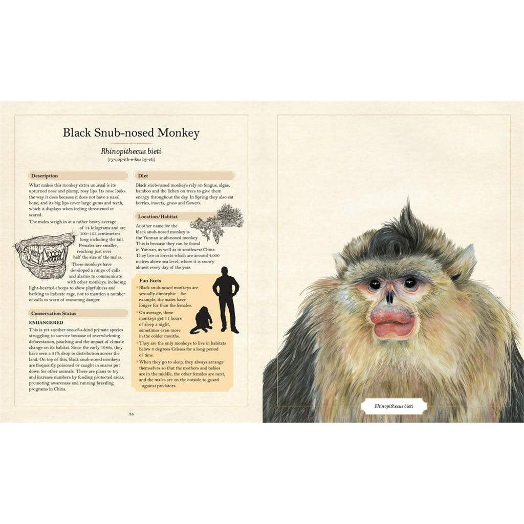 Book - The Illustrated Encyclopaedia of Ugly Animals - Harper - The Creative Toy Shop