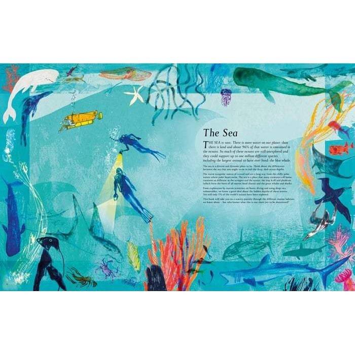 Book - The Sea, Exploring Our Blue Planet-Harper-The Creative Toy Shop