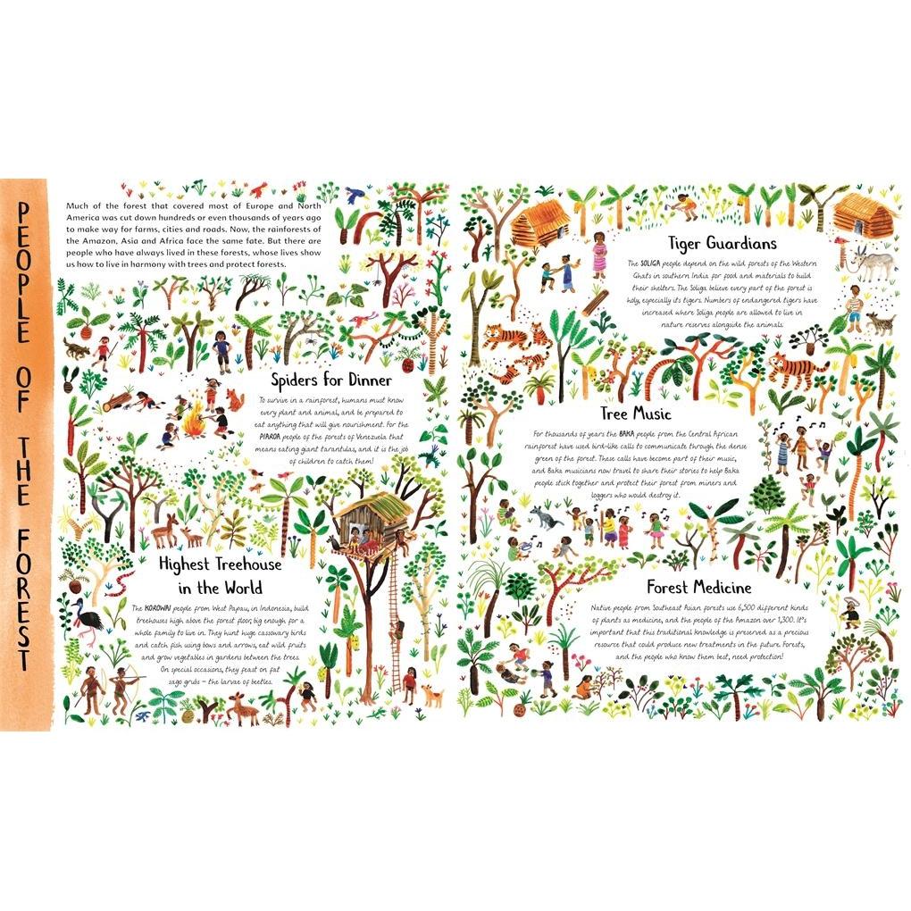 Book - The Wonder Of Tree's-Harper-The Creative Toy Shop