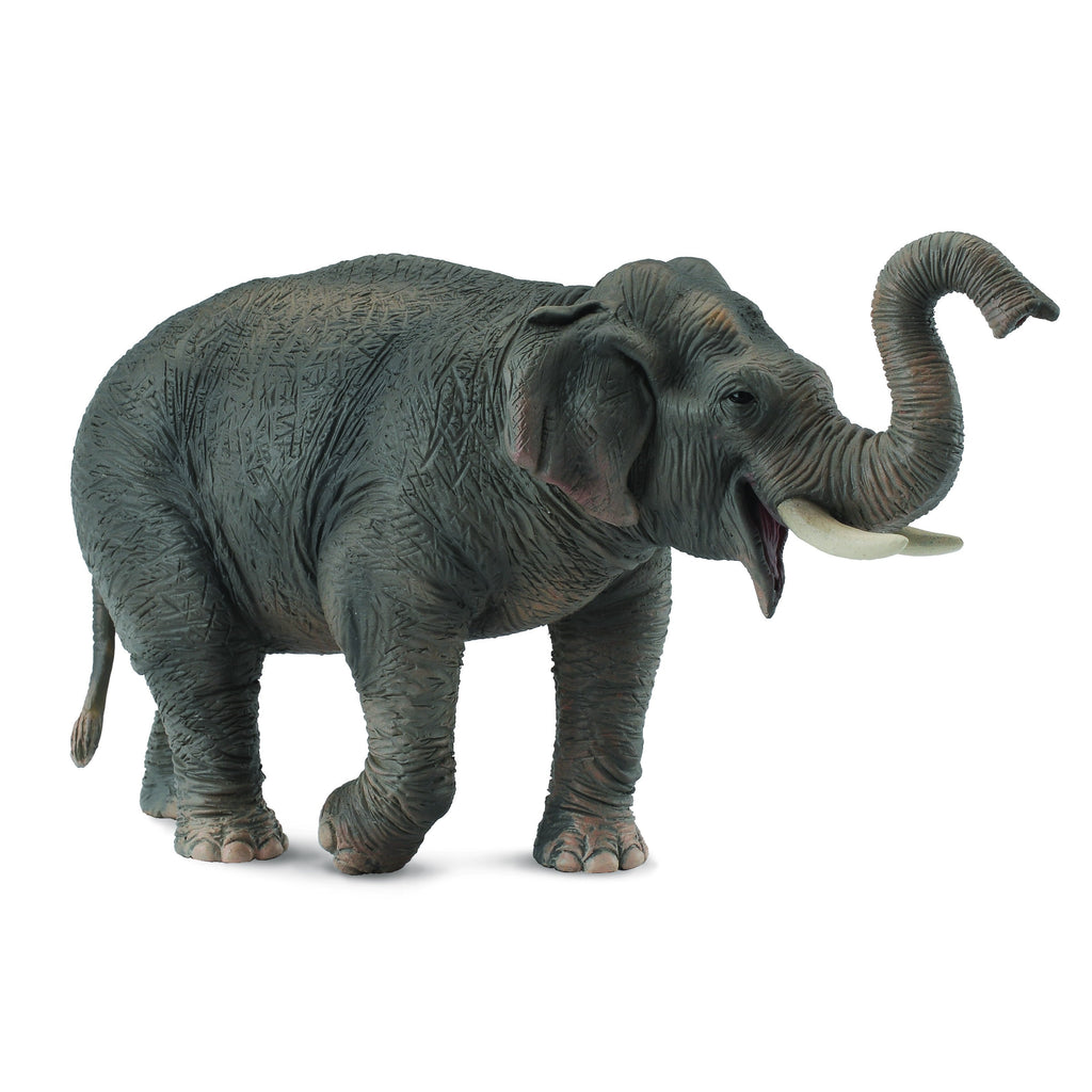 CollectA - Apollo the Asian Elephant - CollectA - The Creative Toy Shop