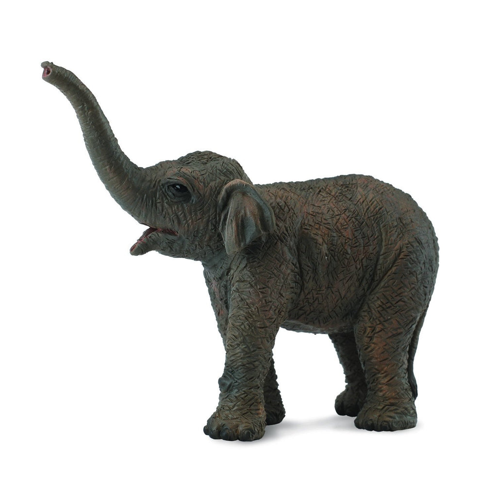 CollectA - Archie the Asian Elephant Calf - CollectA - The Creative Toy Shop