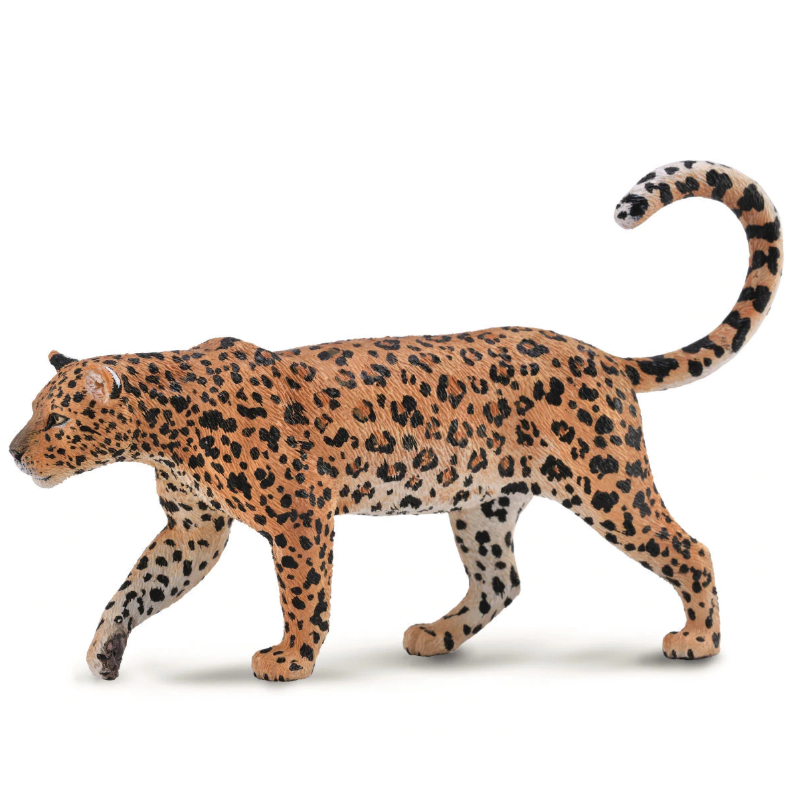 CollectA - Atticus the African Leopard – The Creative Toy Shop