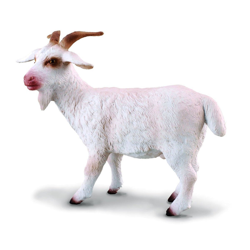 CollectA - Barry the Billy Goat - CollectA - The Creative Toy Shop