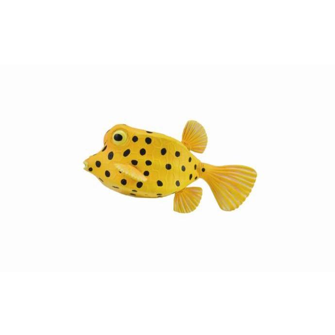 CollectA - Belinda the Boxfish - CollectA - The Creative Toy Shop