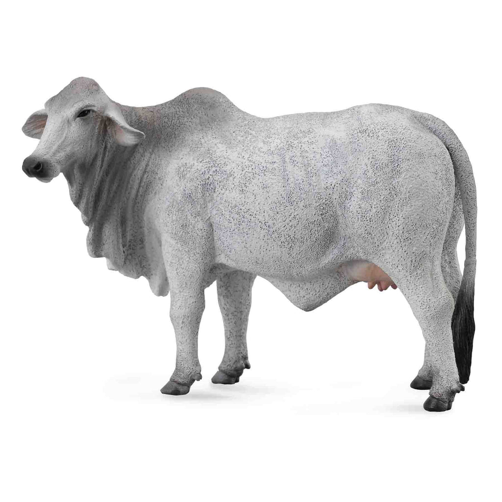 CollectA -  Benita the Brahman Cow Grey - CollectA - The Creative Toy Shop