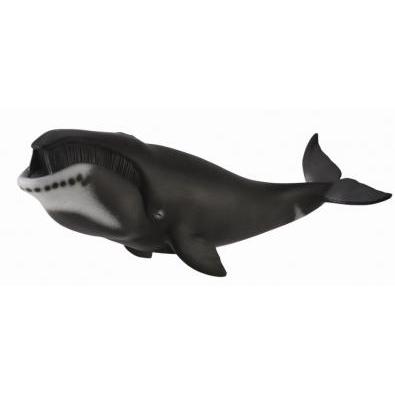 CollectA - Bethany the Bowhead Whale - CollectA - The Creative Toy Shop