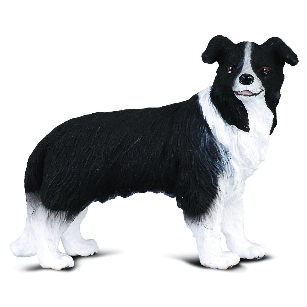 CollectA - Bobby the Boarder Collie - CollectA - The Creative Toy Shop