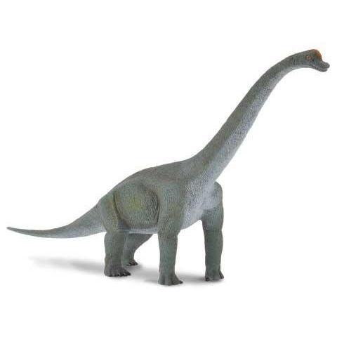 CollectA - Brendan the Brachiosaurus - CollectA - The Creative Toy Shop
