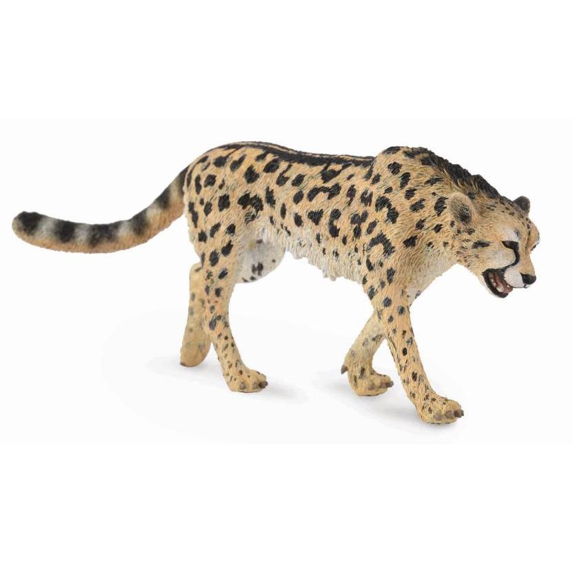 CollectA -  Chatwin the King Cheetah - CollectA - The Creative Toy Shop