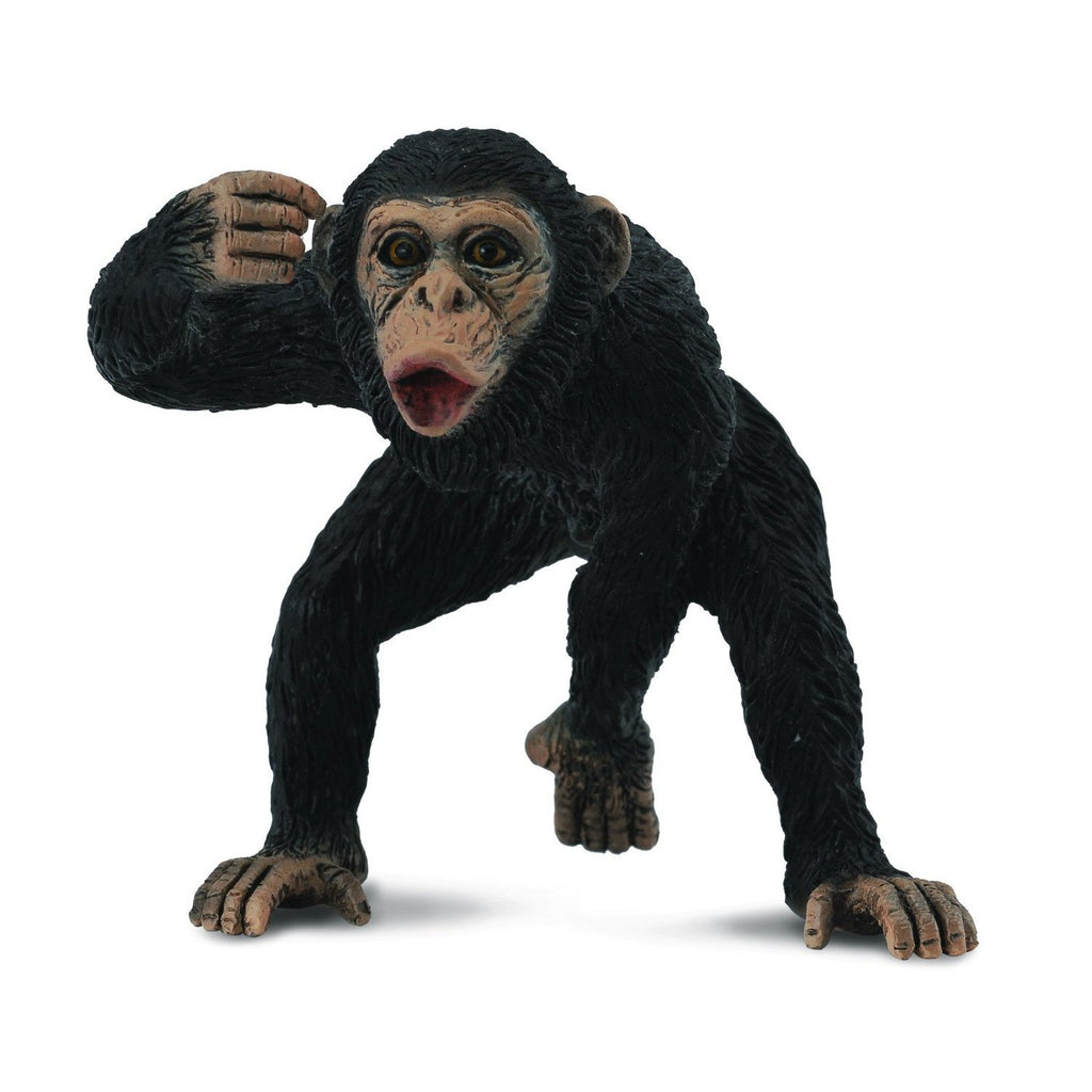 CollectA - Chuck the Chimpanzee male - CollectA - The Creative Toy Shop