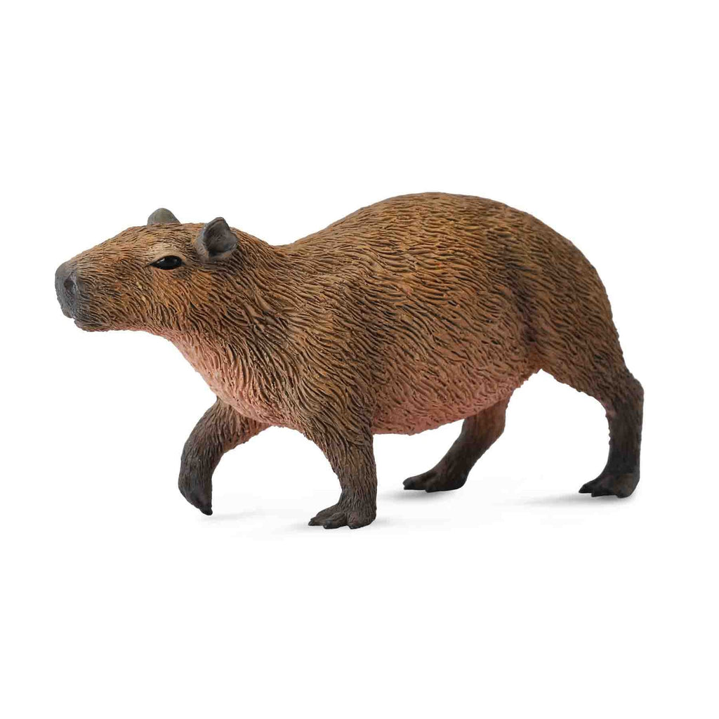CollectA - Cindy the Capybara - CollectA - The Creative Toy Shop