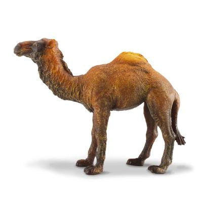 CollectA - Daniella the Dromedary Camel - CollectA - The Creative Toy Shop