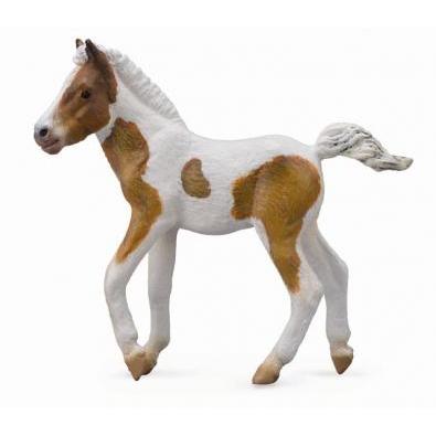 CollectA - Dorothy the Dartmoor Hill Foal Skewbald - CollectA - The Creative Toy Shop