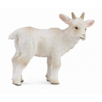 CollectA - Gary the Goat Kid Standing - CollectA - The Creative Toy Shop