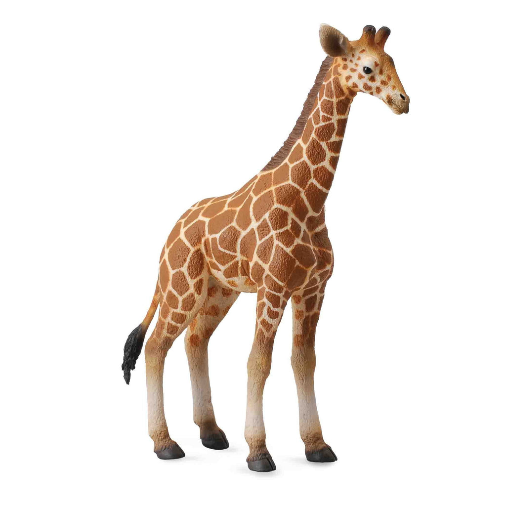 CollectA - Gus the Giraffe Calf - CollectA - The Creative Toy Shop