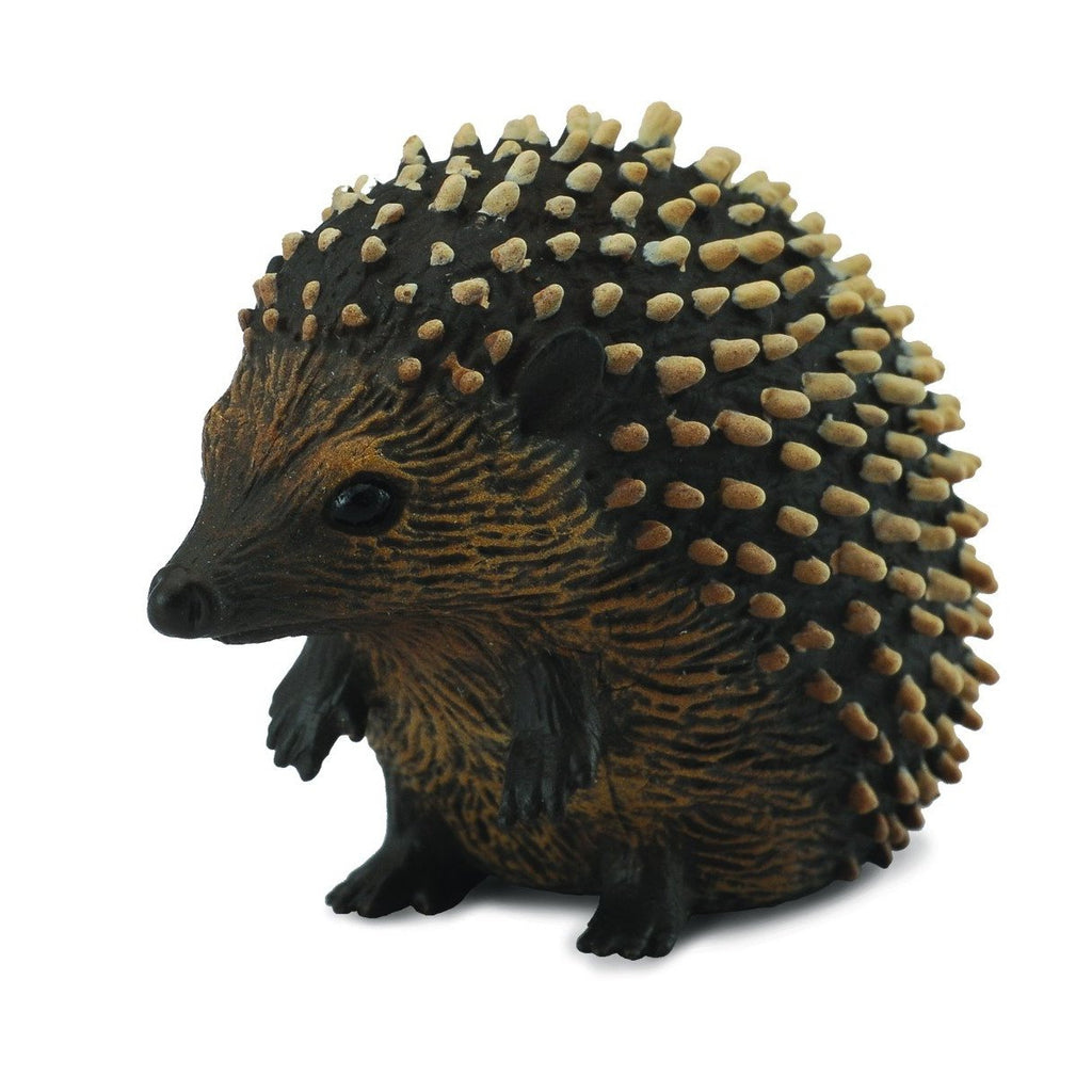 CollectA - Harper the Hedgehog - CollectA - The Creative Toy Shop