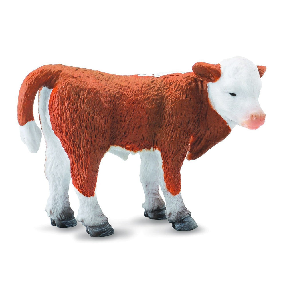 CollectA -  Holly the Hereford Calf Standing - CollectA - The Creative Toy Shop