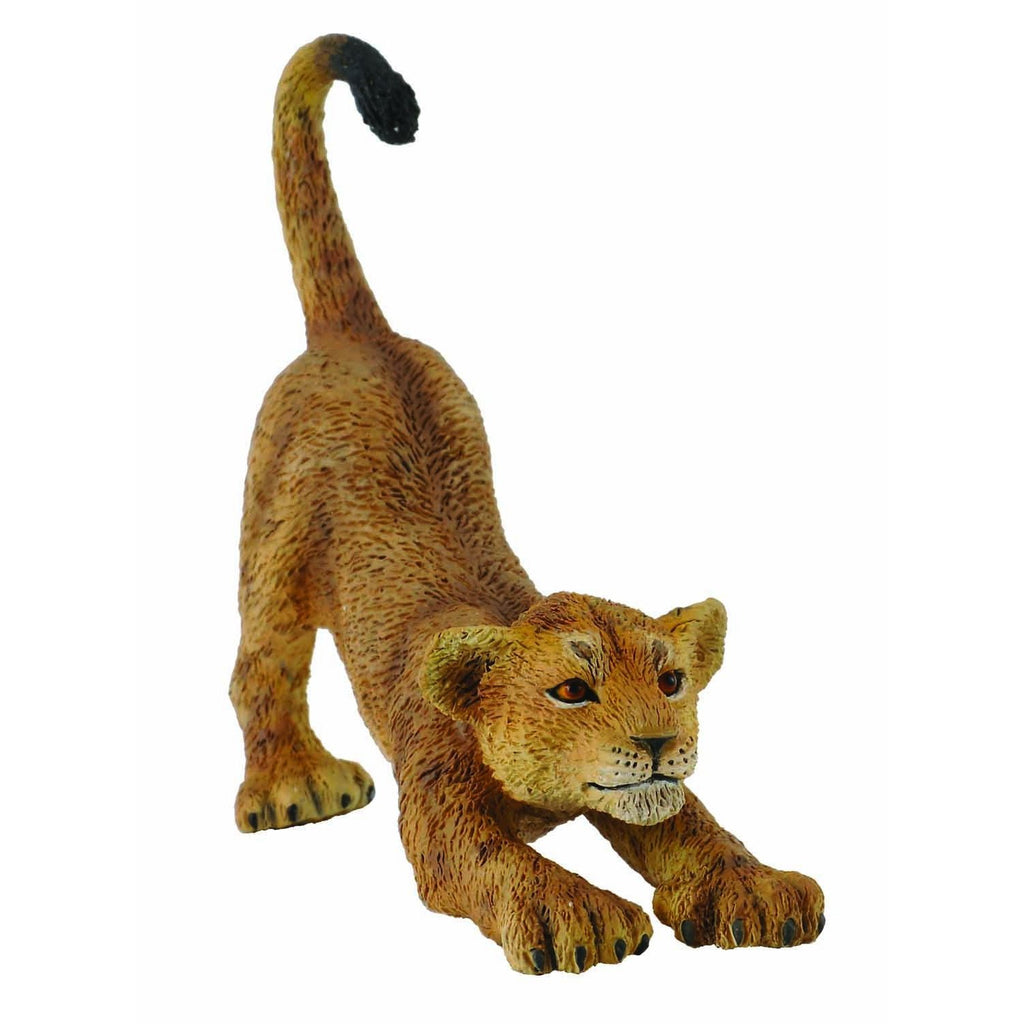 CollectA - Larry the Lion Cub Stretching - CollectA - The Creative Toy Shop