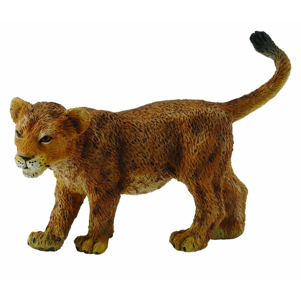CollectA - Larry the Lion Cub Walking - CollectA - The Creative Toy Shop
