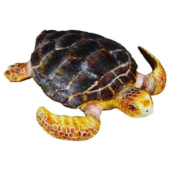CollectA - Lewis the Loggerhead Turtle - CollectA - The Creative Toy Shop