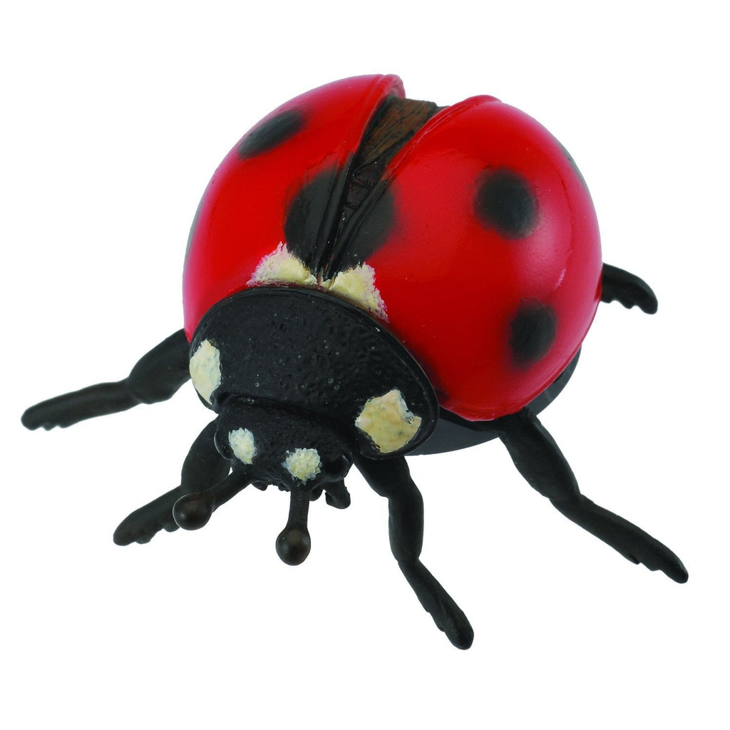 CollectA - Lilly the Ladybird - CollectA - The Creative Toy Shop