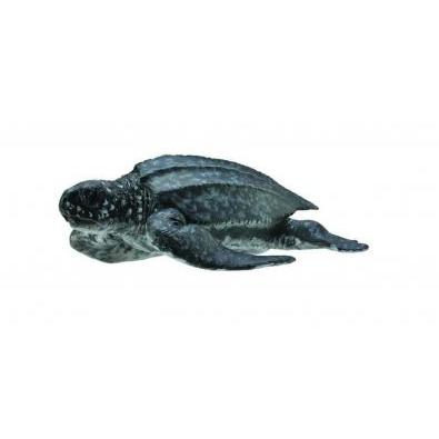 CollectA - Logan the Leatherback Sea Turtle - CollectA - The Creative Toy Shop