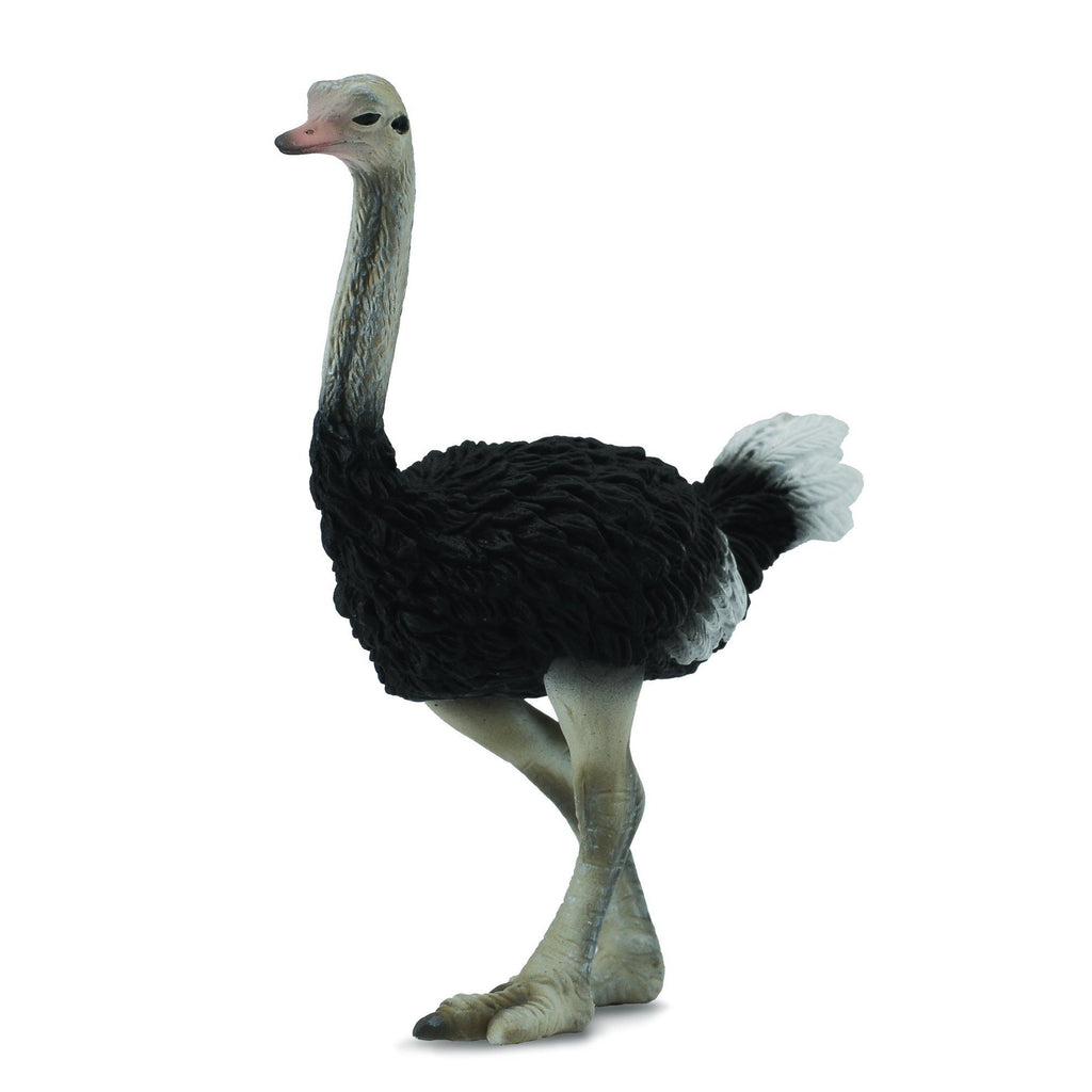 CollectA - Olive the Ostrich - CollectA - The Creative Toy Shop
