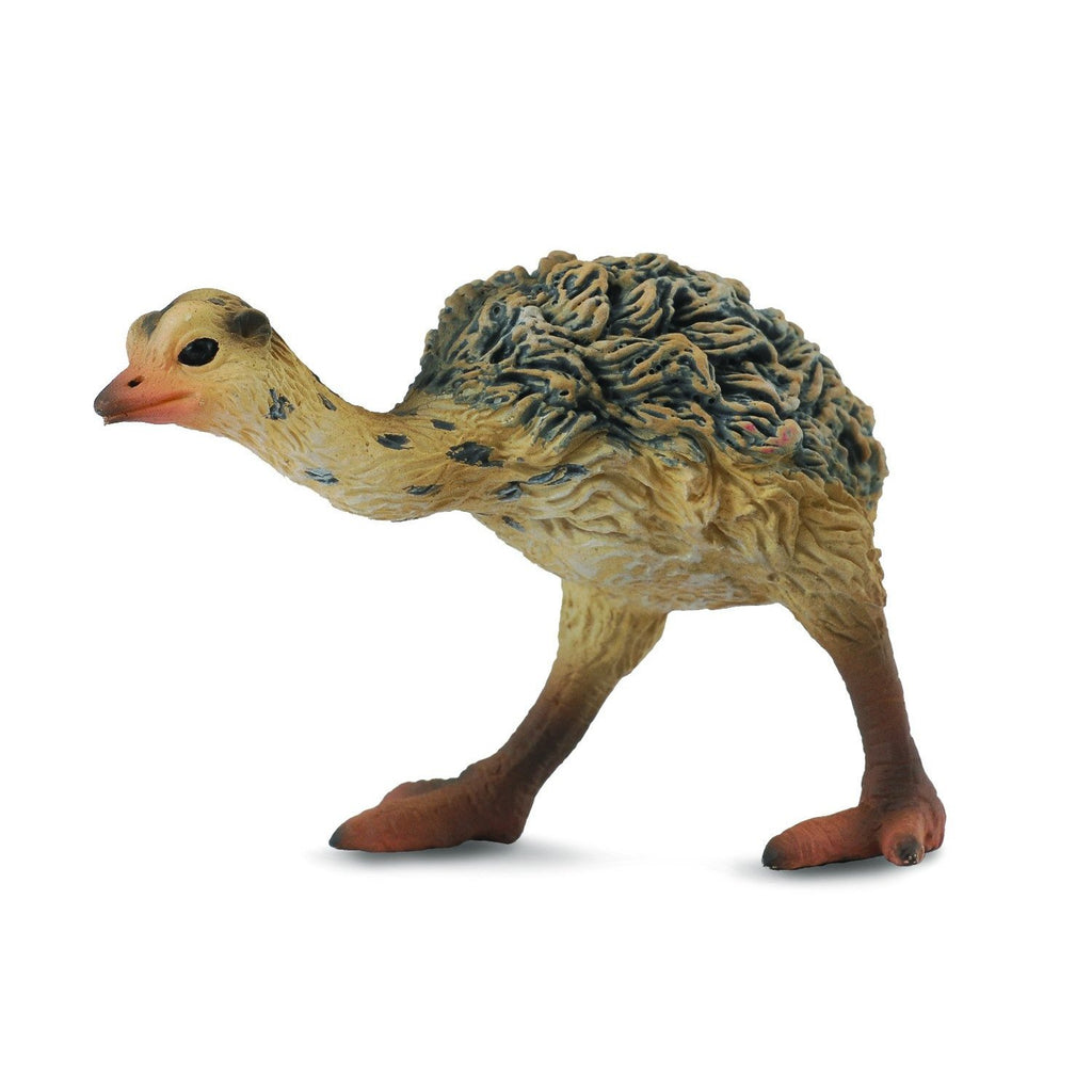 CollectA - Olympia the Ostrich Chick Walking - CollectA - The Creative Toy Shop