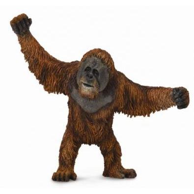 CollectA - Oscar the Orangutan - CollectA - The Creative Toy Shop