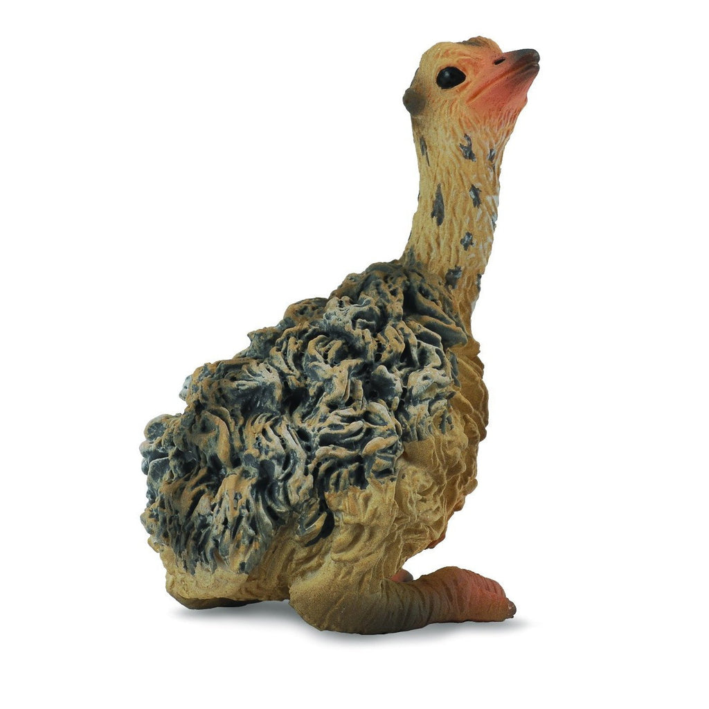 CollectA - Otto the Ostrich Chick Sitting - CollectA - The Creative Toy Shop