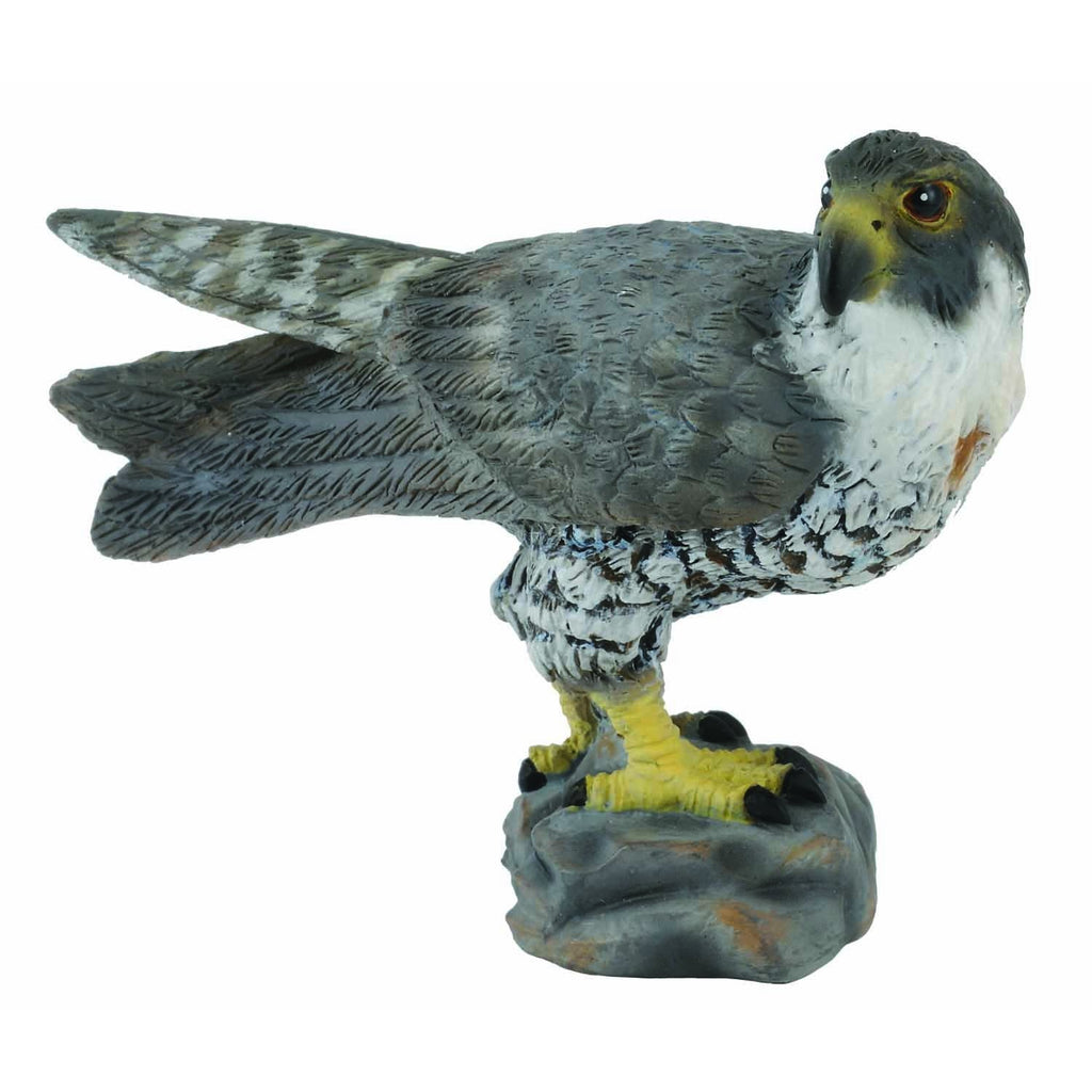 CollectA - Paul the Peregrine Falcon - CollectA - The Creative Toy Shop